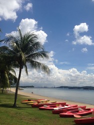Pasir Ris Beach Park (D18), Semi-Detached #168005402